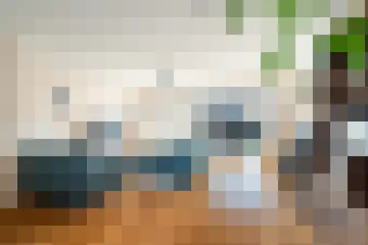 Pauwmolen 48 Delfgauw thumbnail 8