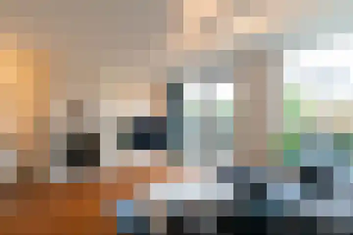 Pauwmolen 7 Delfgauw thumbnail 12