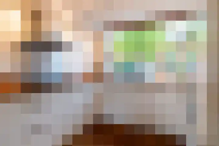 Pauwmolen 7 Delfgauw thumbnail 17