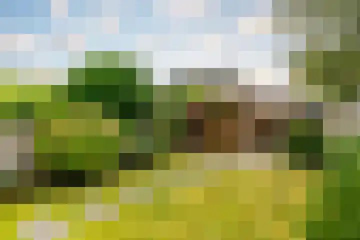 Pauwmolen 7 Delfgauw thumbnail 22