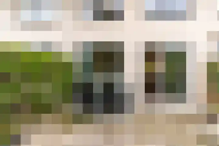 Pauwmolen 7 Delfgauw thumbnail 23