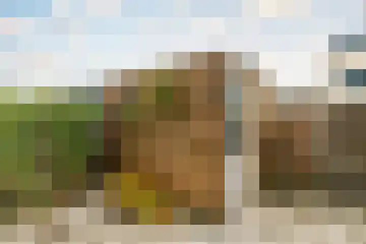 Pauwmolen 7 Delfgauw thumbnail 24