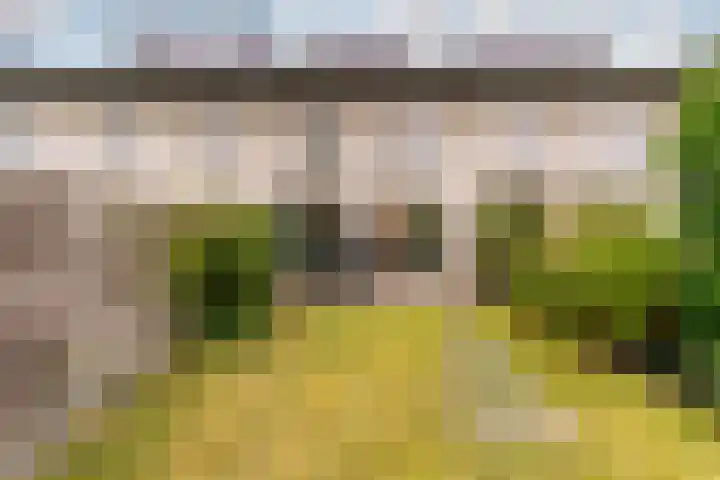 Pauwmolen 7 Delfgauw thumbnail 25