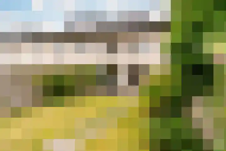 Pauwmolen 7 Delfgauw thumbnail 26