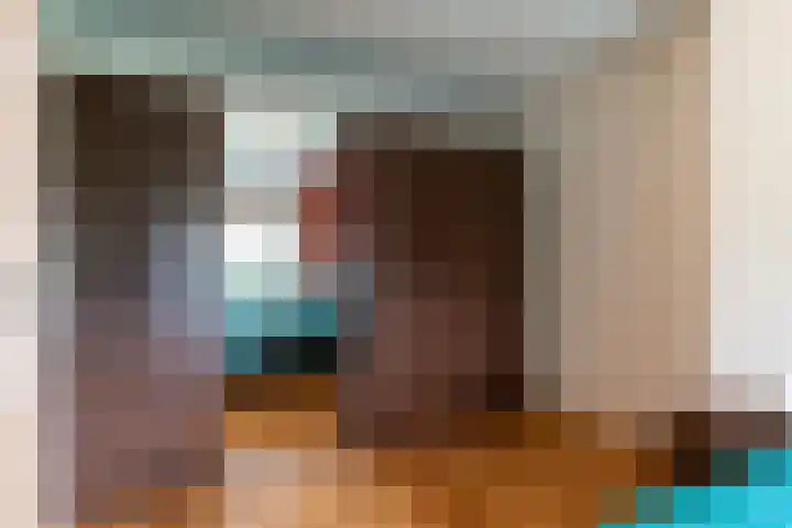 Pauwmolen 7 Delfgauw thumbnail 32