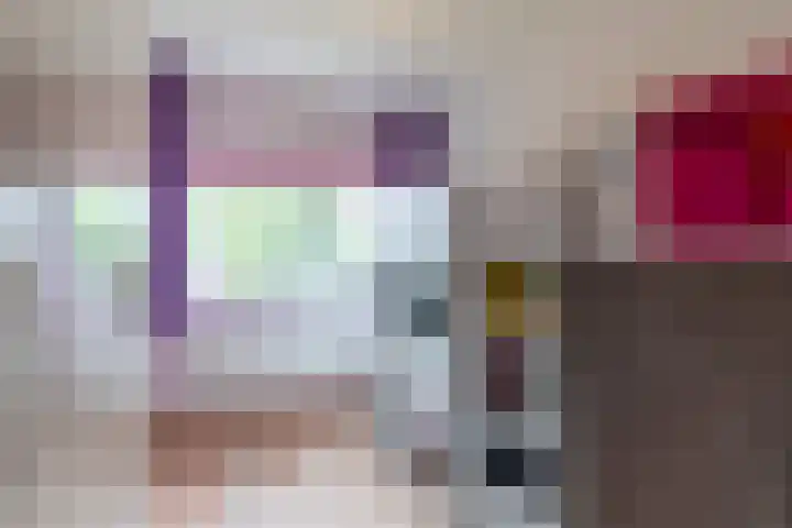 Pauwmolen 7 Delfgauw thumbnail 34