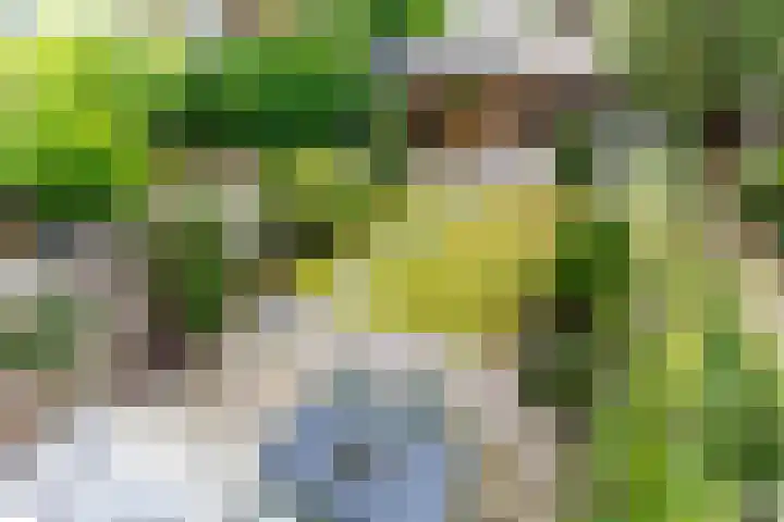 Pauwmolen 7 Delfgauw thumbnail 36