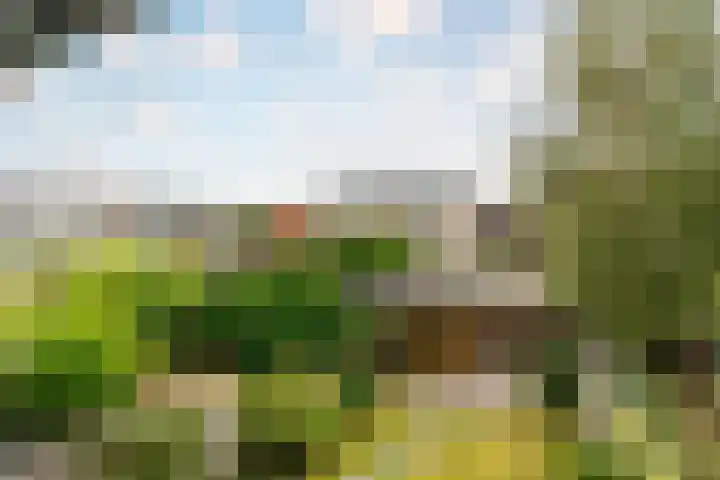 Pauwmolen 7 Delfgauw thumbnail 37