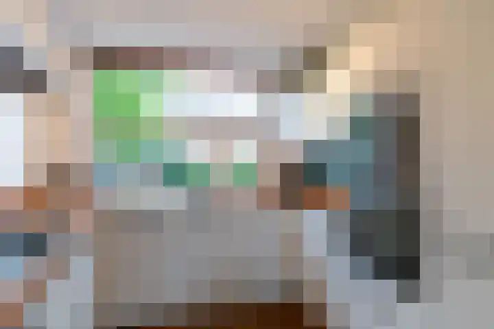 Pauwmolen 7 Delfgauw thumbnail 4