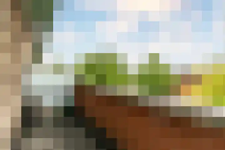 Pauwmolen 7 Delfgauw thumbnail 44