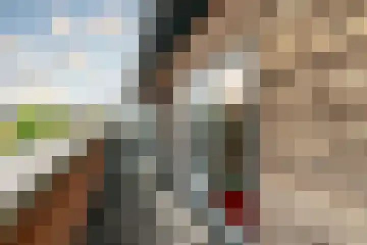 Pauwmolen 7 Delfgauw thumbnail 45