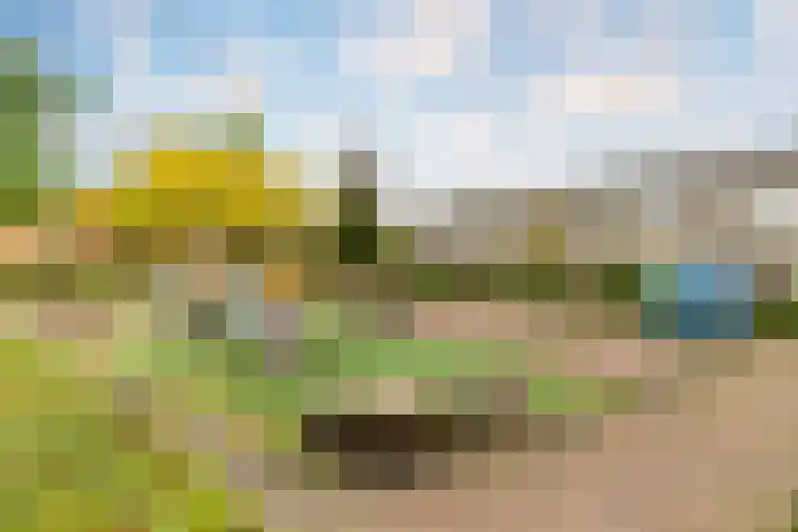 Pauwmolen 7 Delfgauw thumbnail 46
