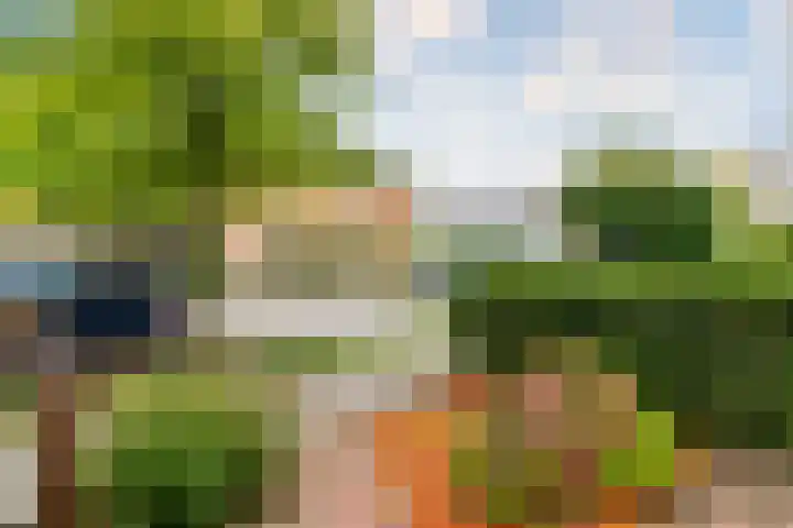 Pauwmolen 7 Delfgauw thumbnail 47