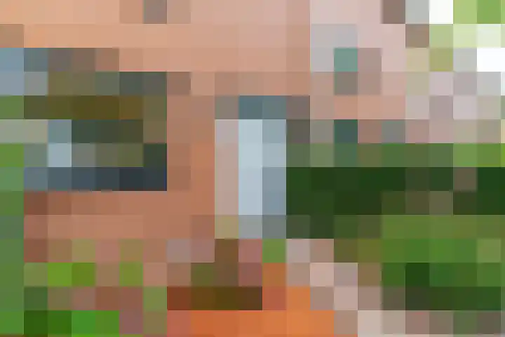 Pauwmolen 7 Delfgauw thumbnail 48