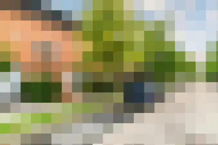 Pauwmolen 7 Delfgauw thumbnail 5
