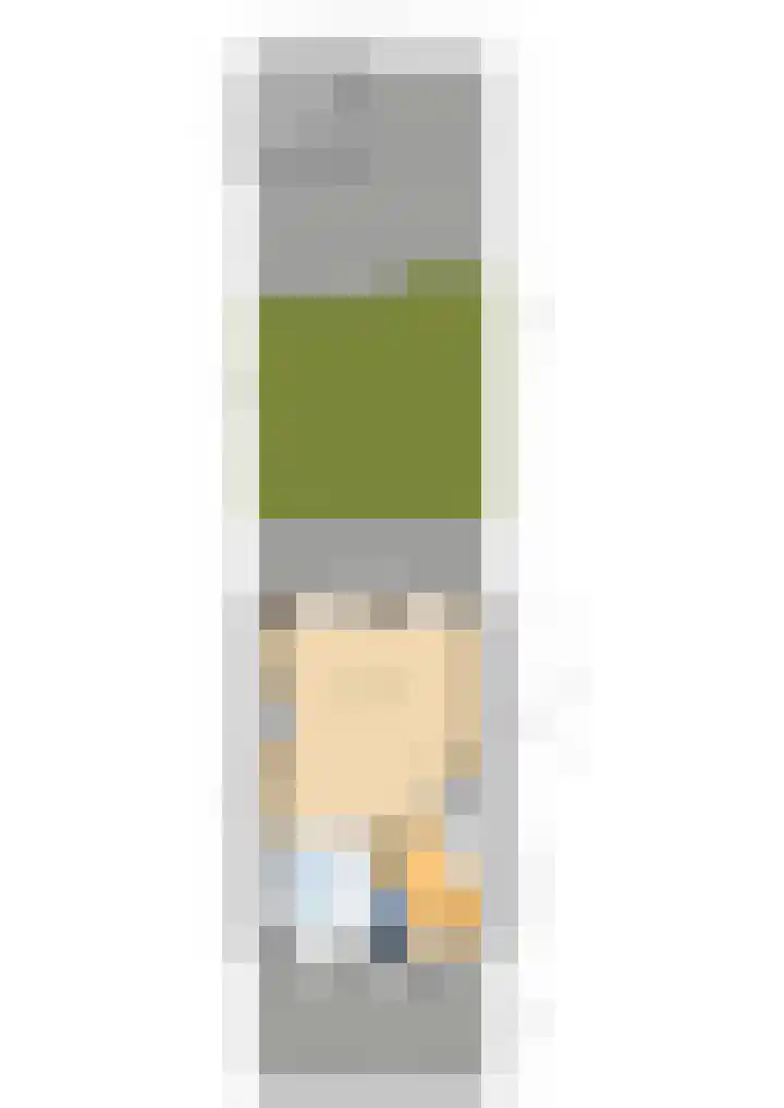 Pauwmolen 7 Delfgauw thumbnail 53