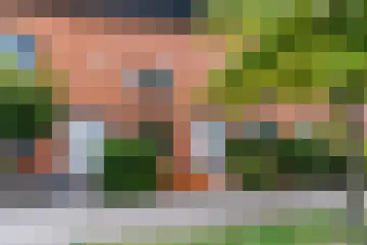 Pauwmolen 7 Delfgauw thumbnail 6