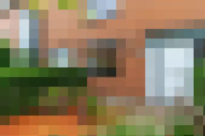 Pauwmolen 7 Delfgauw thumbnail 7