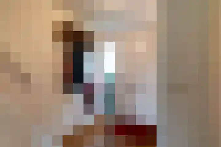 Pauwmolen 7 Delfgauw thumbnail 8