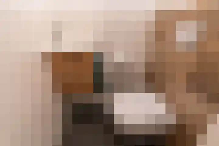 Pauwmolen 7 Delfgauw thumbnail 9