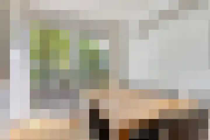 Pauwmolen 81 Delfgauw thumbnail 12