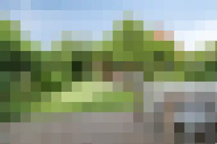Pauwmolen 81 Delfgauw thumbnail 30