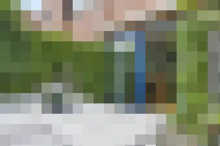 Pauwmolen 81 Delfgauw thumbnail 32