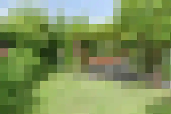 Pauwmolen 81 Delfgauw thumbnail 35