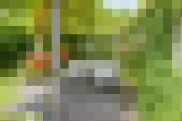 Pauwmolen 81 Delfgauw thumbnail 36