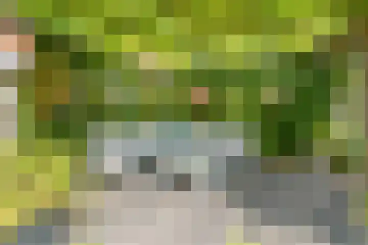Pauwmolen 81 Delfgauw thumbnail 37