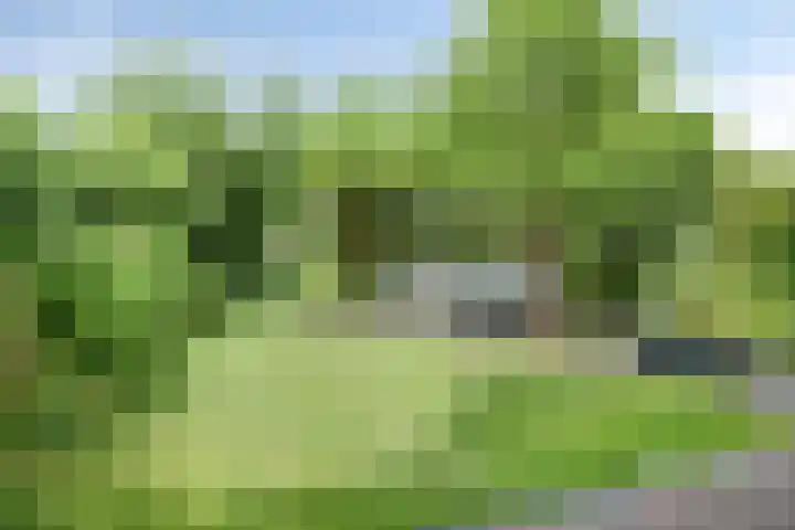 Pauwmolen 81 Delfgauw thumbnail 38