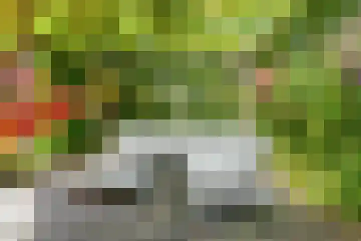 Pauwmolen 81 Delfgauw thumbnail 39