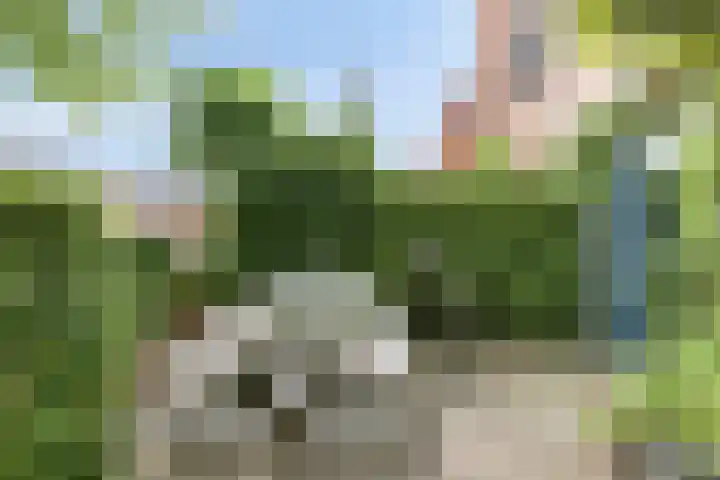 Pauwmolen 81 Delfgauw thumbnail 4