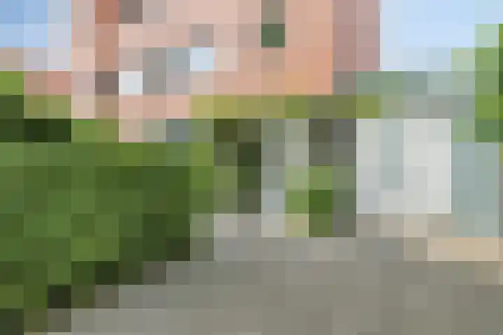 Pauwmolen 81 Delfgauw thumbnail 5