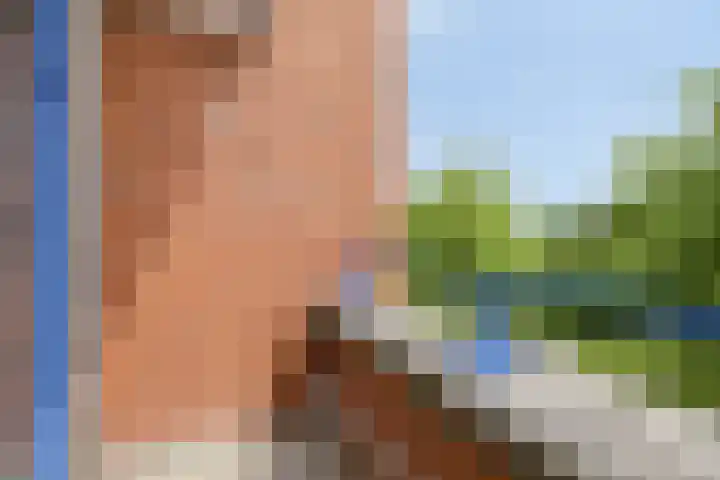 Pauwmolen 81 Delfgauw thumbnail 72