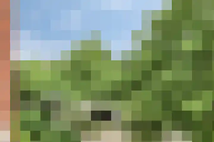 Pauwmolen 81 Delfgauw thumbnail 74