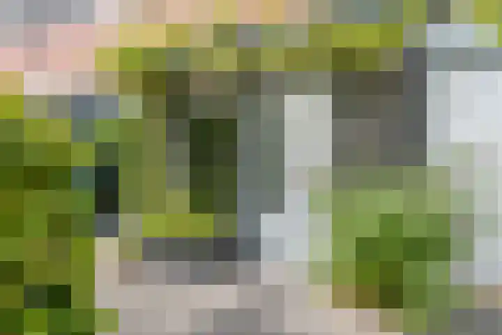Pauwmolen 81 Delfgauw thumbnail 8