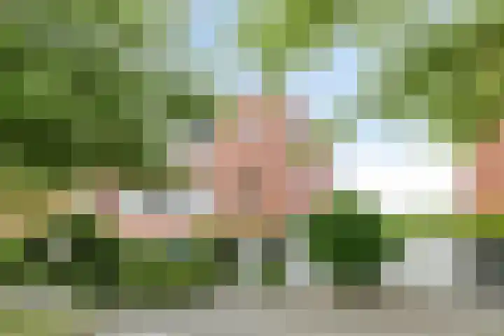 Pauwmolen 81 Delfgauw thumbnail 80