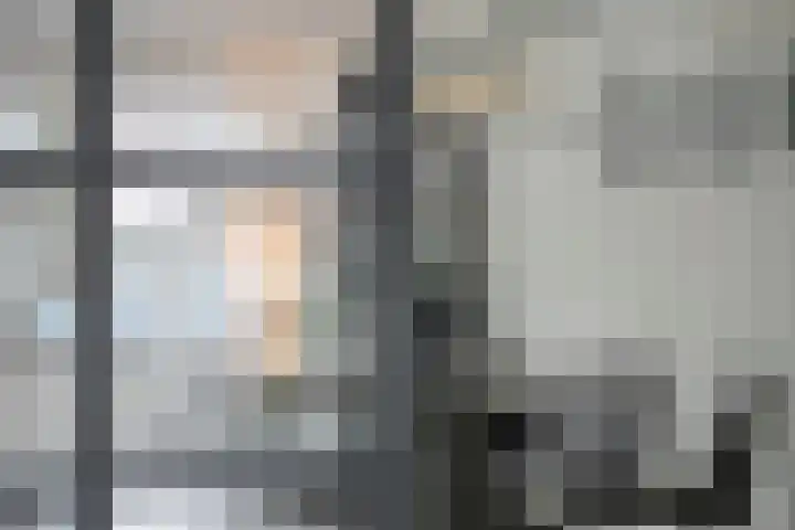 Pauwoog 100 Zeewolde thumbnail 10
