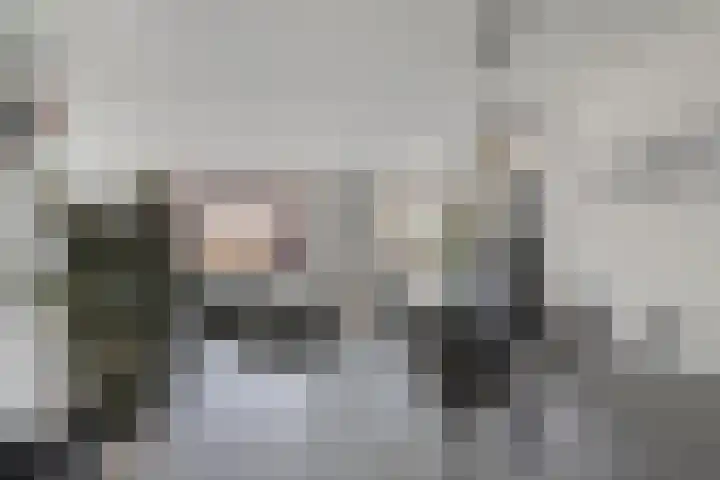 Pauwoog 100 Zeewolde thumbnail 11