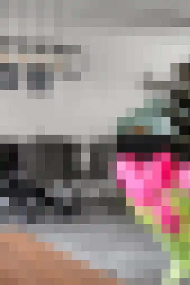 Pauwoog 100 Zeewolde thumbnail 13
