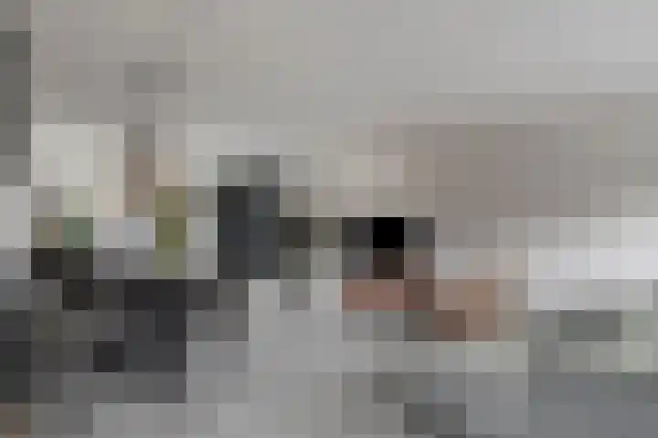 Pauwoog 100 Zeewolde thumbnail 17