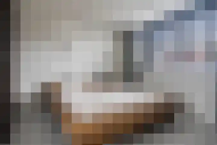 Pauwoog 100 Zeewolde thumbnail 22