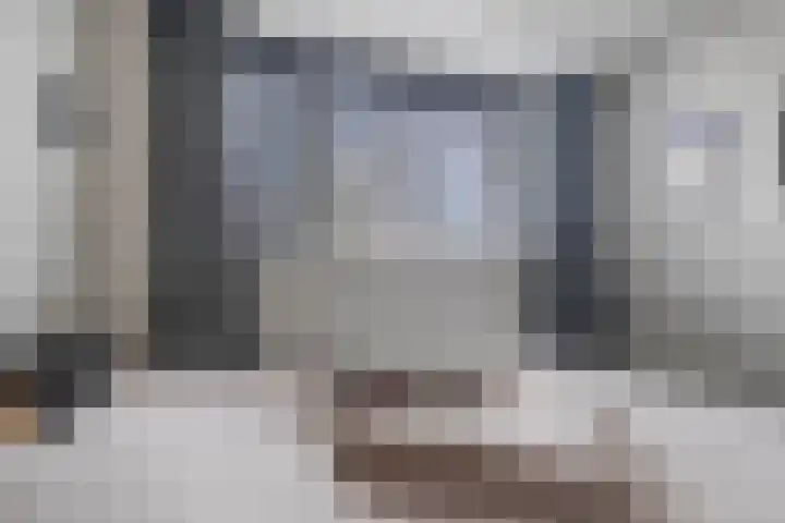 Pauwoog 100 Zeewolde thumbnail 24