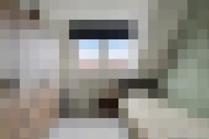Pauwoog 100 Zeewolde thumbnail 29