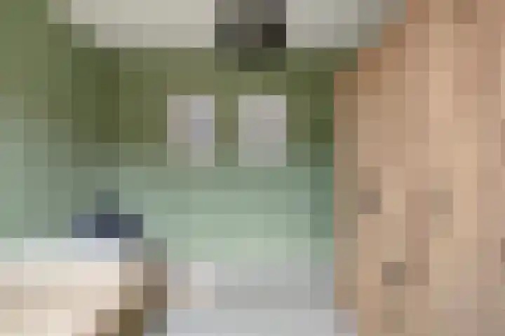 Pauwoog 100 Zeewolde thumbnail 30