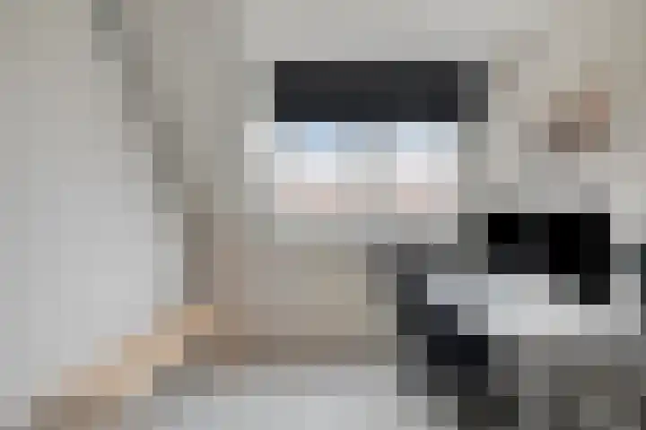 Pauwoog 100 Zeewolde thumbnail 31