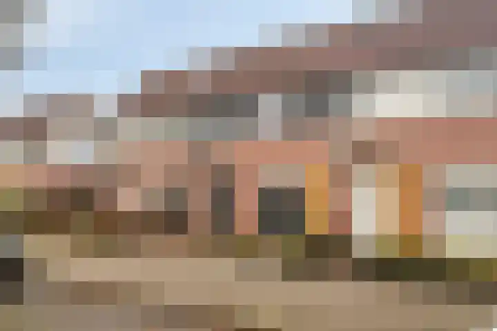 Pauwoog 100 Zeewolde thumbnail 4