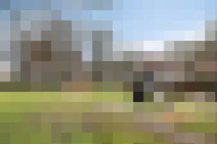 Pauwoog 100 Zeewolde thumbnail 40