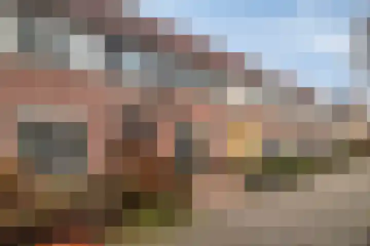 Pauwoog 100 Zeewolde thumbnail 5